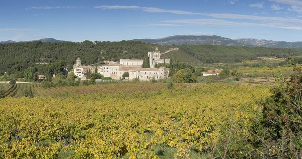 Wie kann die Blockchain-Technologie zur Sicherung von persönlichen Gesundheitsdaten genutzt werden?