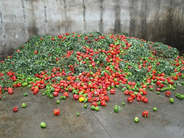 Welche nachhaltigen Materialien eignen sich für wasserabweisende Outdoor-Kleidung?